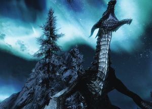 Skyrim 014 - kubek