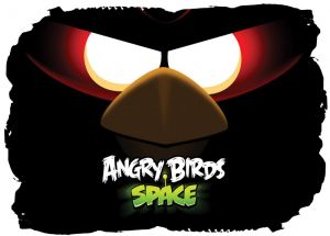 Angry Birds 024 - poduszka