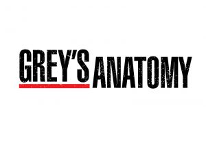 Greys Anatomy 018 - poduszka