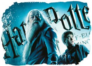 Harry Potter 007 - poduszka