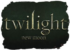 Twilight 041 - poduszka