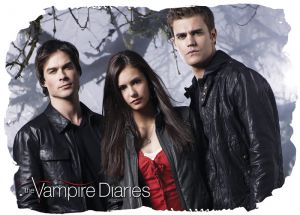 Vampire Diaries 006 - poduszka
