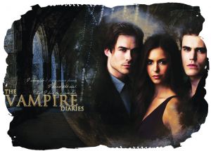 Vampire Diaries 013 - poduszka