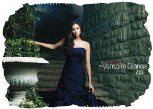 Vampire Diaries 021 - poduszka