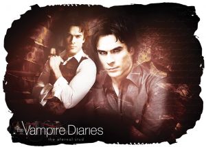 Vampire Diaries 028 - poduszka