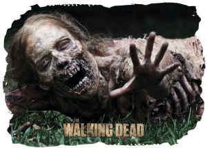 Walking Dead 028 - poduszka