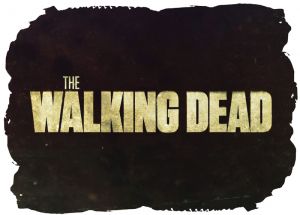 Walking Dead 029 - poduszka